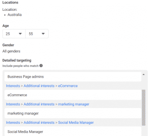Social media campaign audiences 